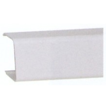 UD LEGRAND QUINTELA FLUID-CANAL 60x100 (TIRA 2 MTRS)